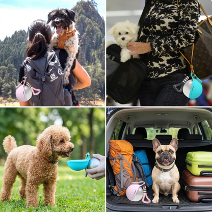 Botella Térmica para Perros